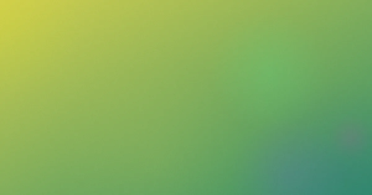 久久经典视频推荐新手清单